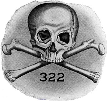 Das Logo von Skull & Bones